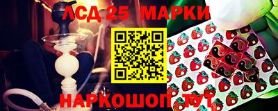 ALPHA PVP Коммунар