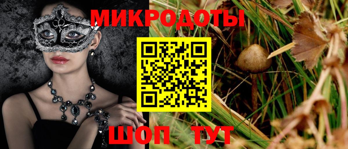 Псилоцибиновые грибы GOLDEN TEACHER Ртищево