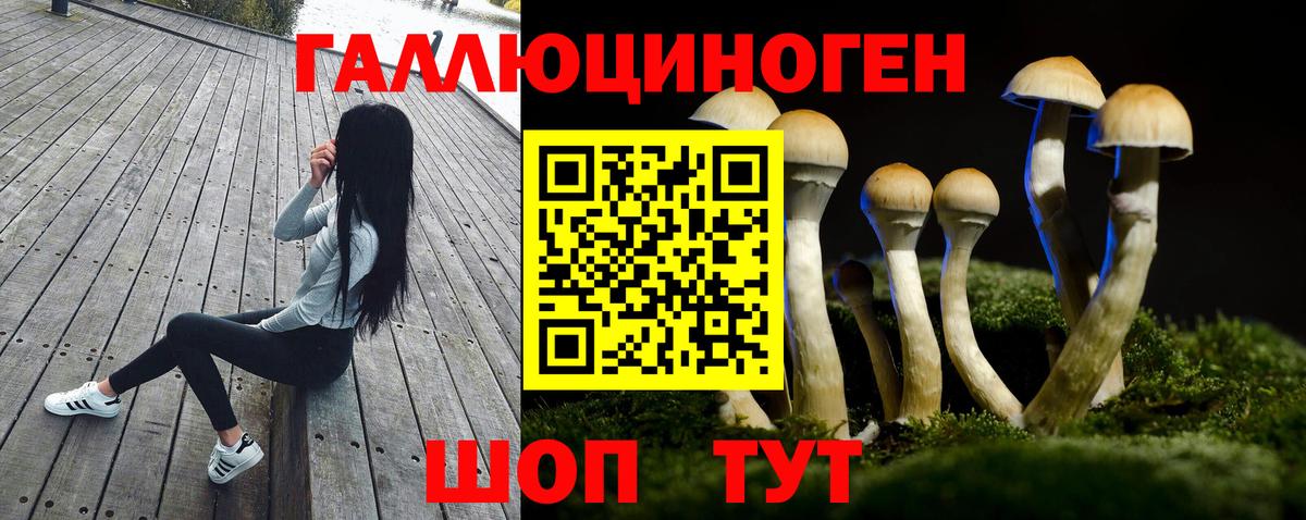Псилоцибиновые грибы Cubensis  Галлюциногенные грибы мухоморы  Ртищево  Вход с VPN 