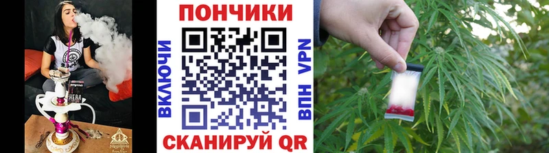 Бошки Шишки семена  как найти   Ртищево 
